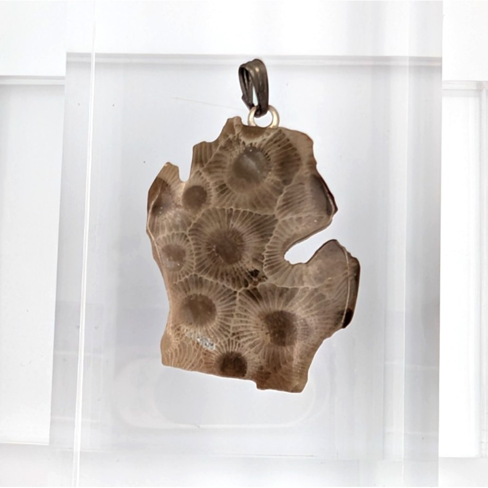 Vintage Petoskey Stone Michigan Mitten Pendant Fossil‎ Peninsula Artisan